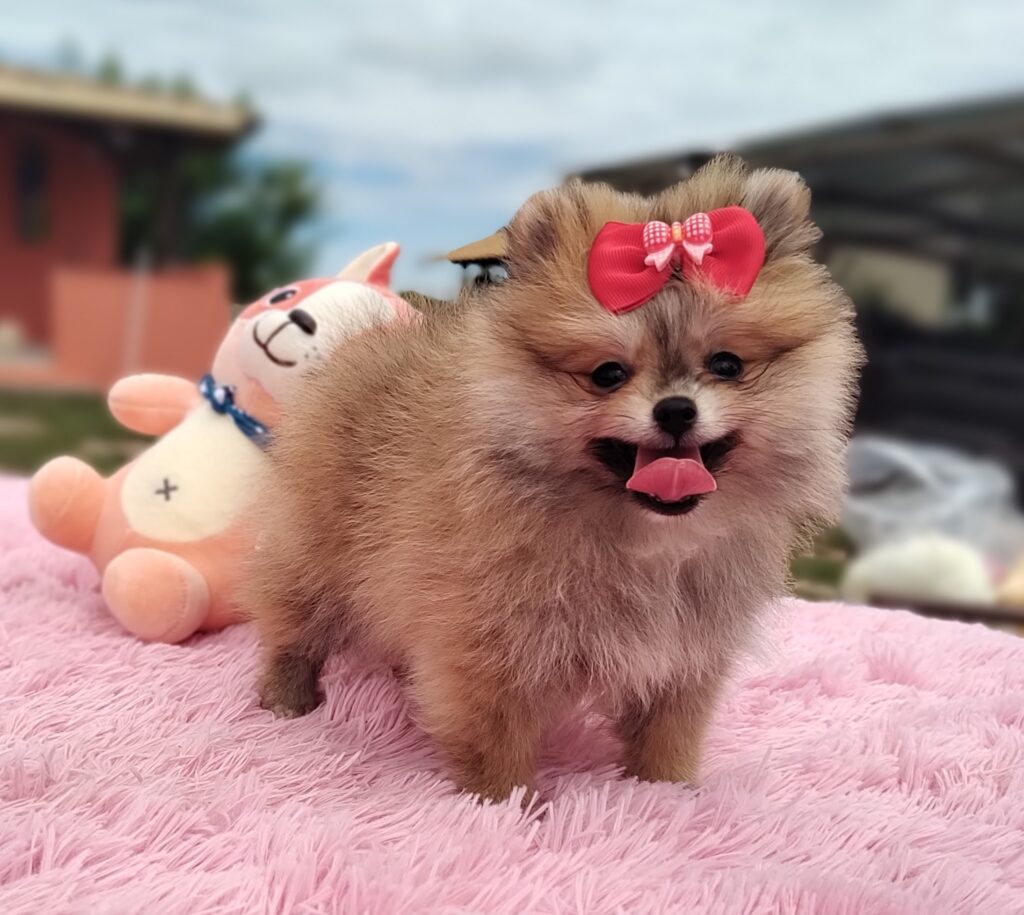 IMG_20230309_104328067_MF_PORTRAIT