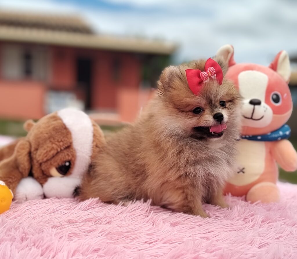 IMG_20230309_104759320_MF_PORTRAIT3