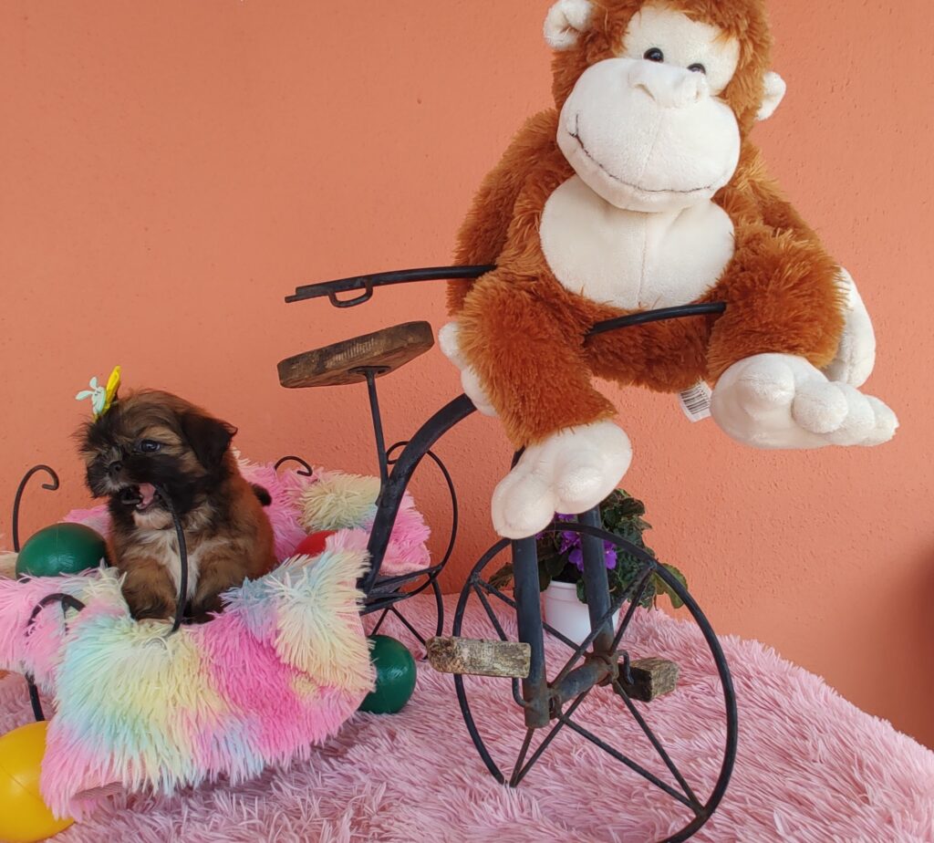 IMG_20230405_120754715