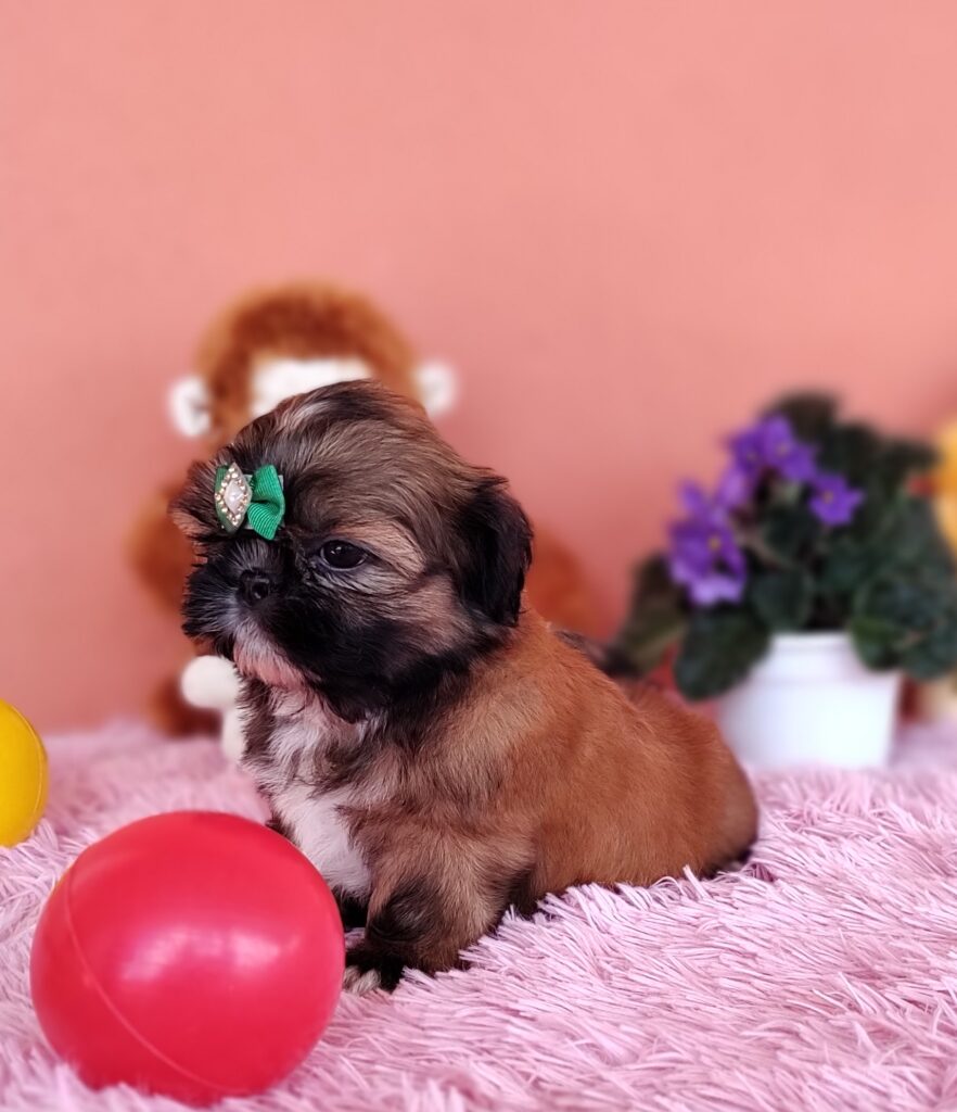 IMG_20230405_121413019_MF_PORTRAIT