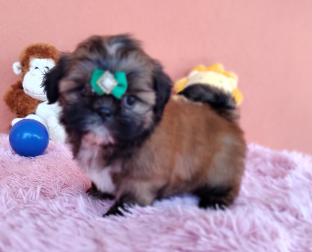 IMG_20230405_121437823_MF_PORTRAIT-scaled