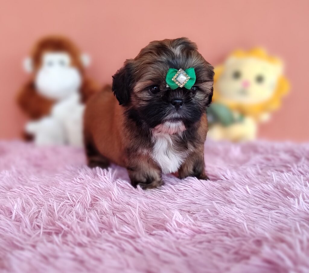 IMG_20230405_121534343_MF_PORTRAIT