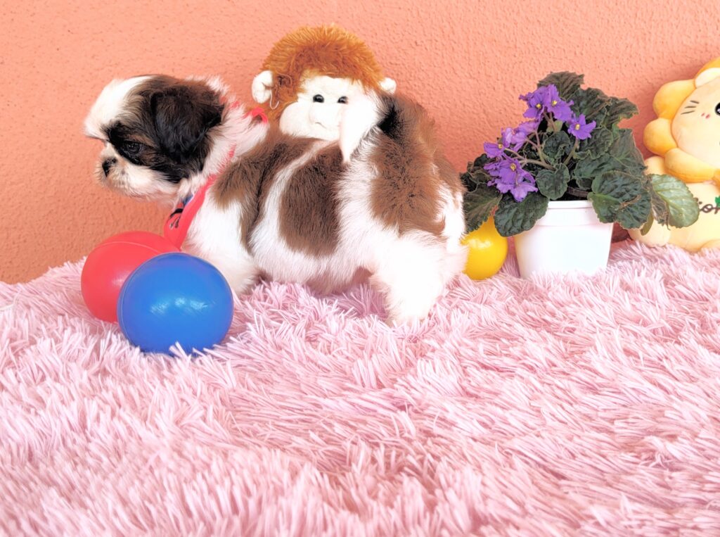 IMG_20230405_122753526-1