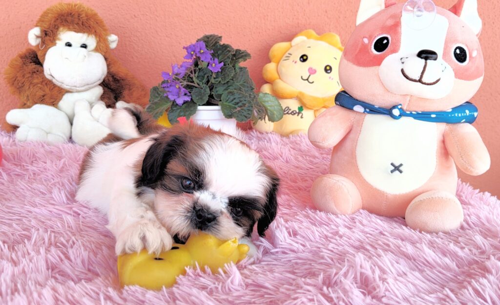 IMG_20230405_122820154-1-scaled