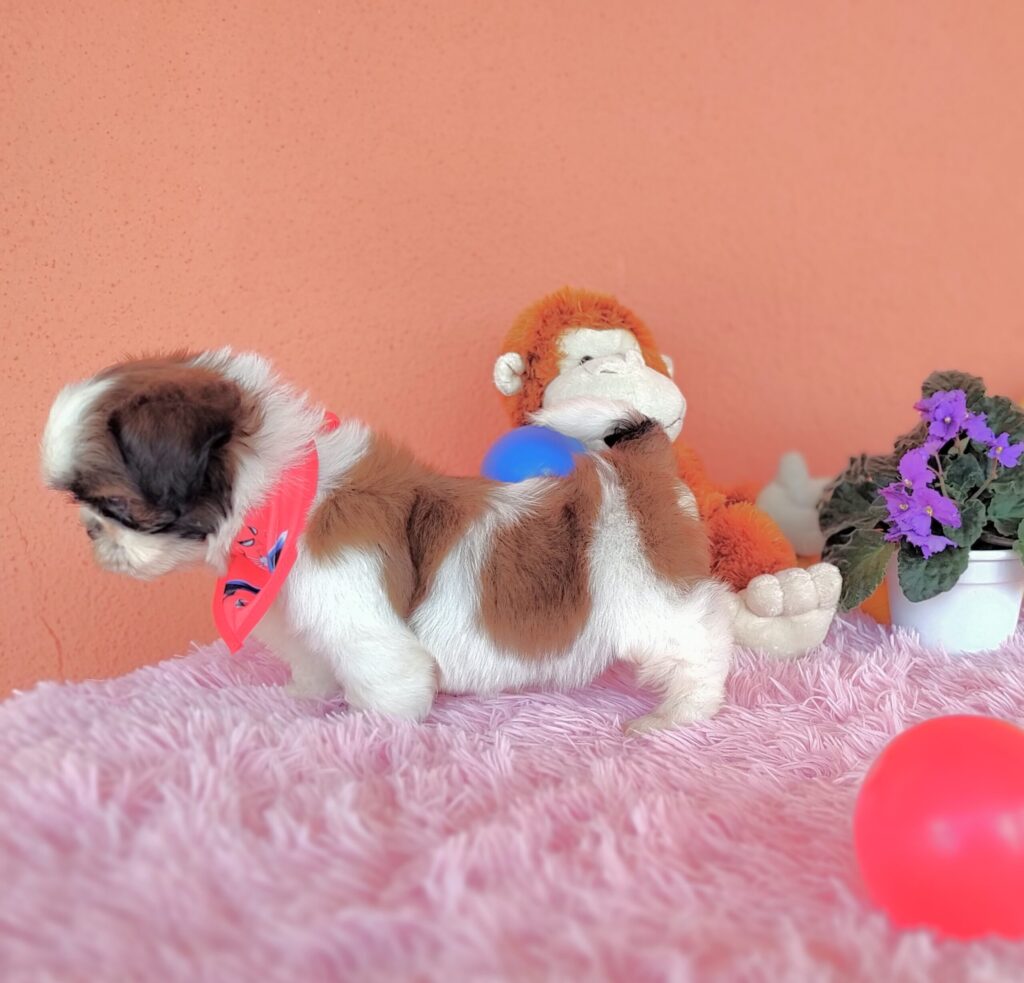 IMG_20230405_123350201_MF_PORTRAIT2-scaled