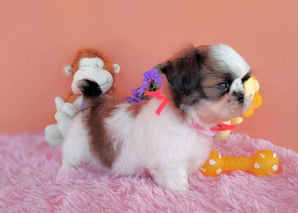 IMG_20230405_123625159_MF_PORTRAIT-1-scaled