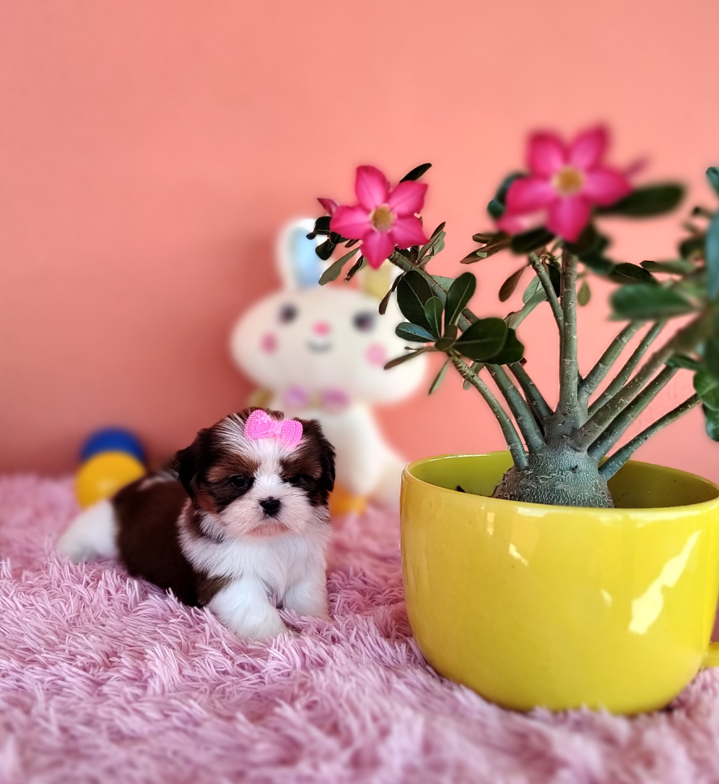 IMG_20230405_124808754_MF_PORTRAIT-scaled