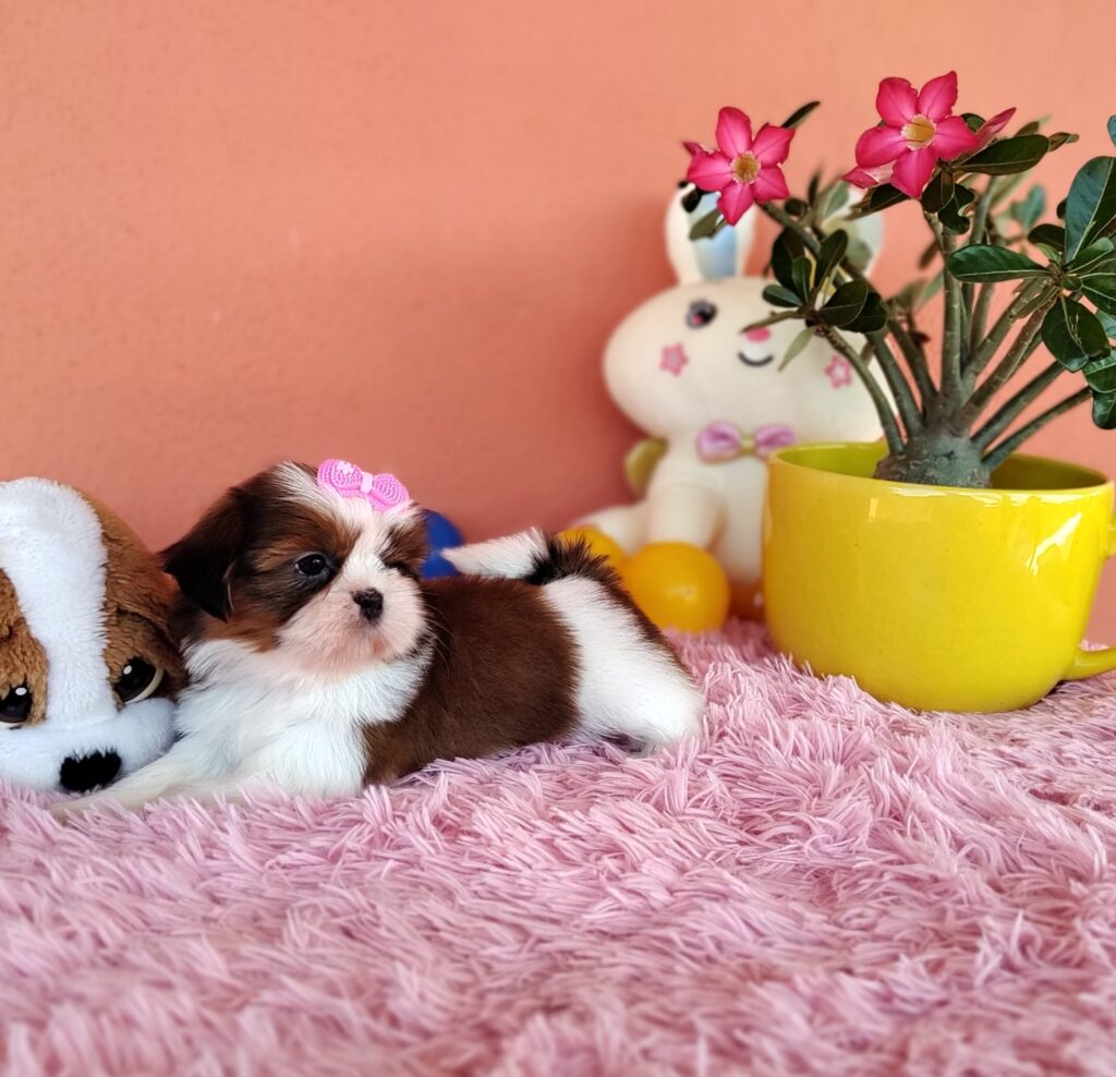 IMG_20230405_125045559_MF_PORTRAIT-scaled