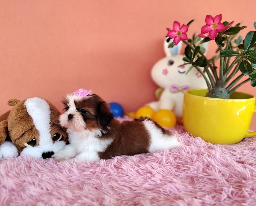 IMG_20230405_125046750_MF_PORTRAIT-scaled