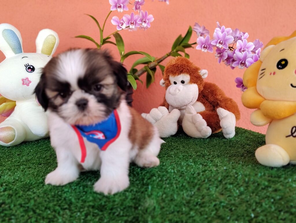 IMG_20230405_131312729_MF_PORTRAIT-scaled