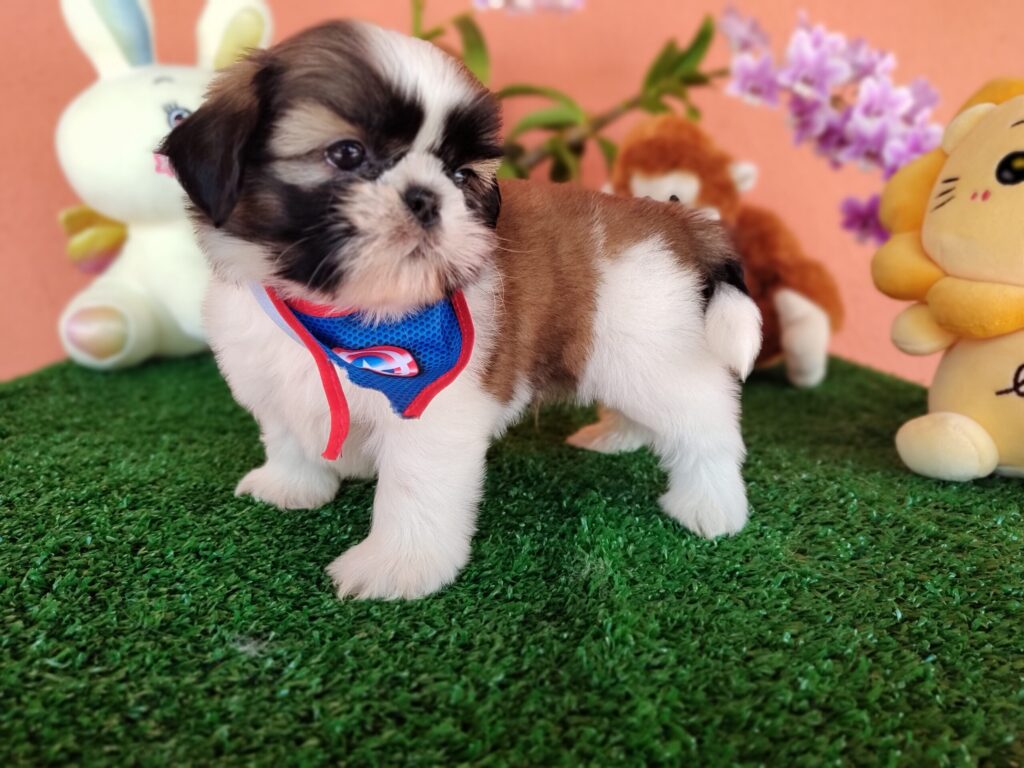 IMG_20230405_131353173_MF_PORTRAIT-scaled