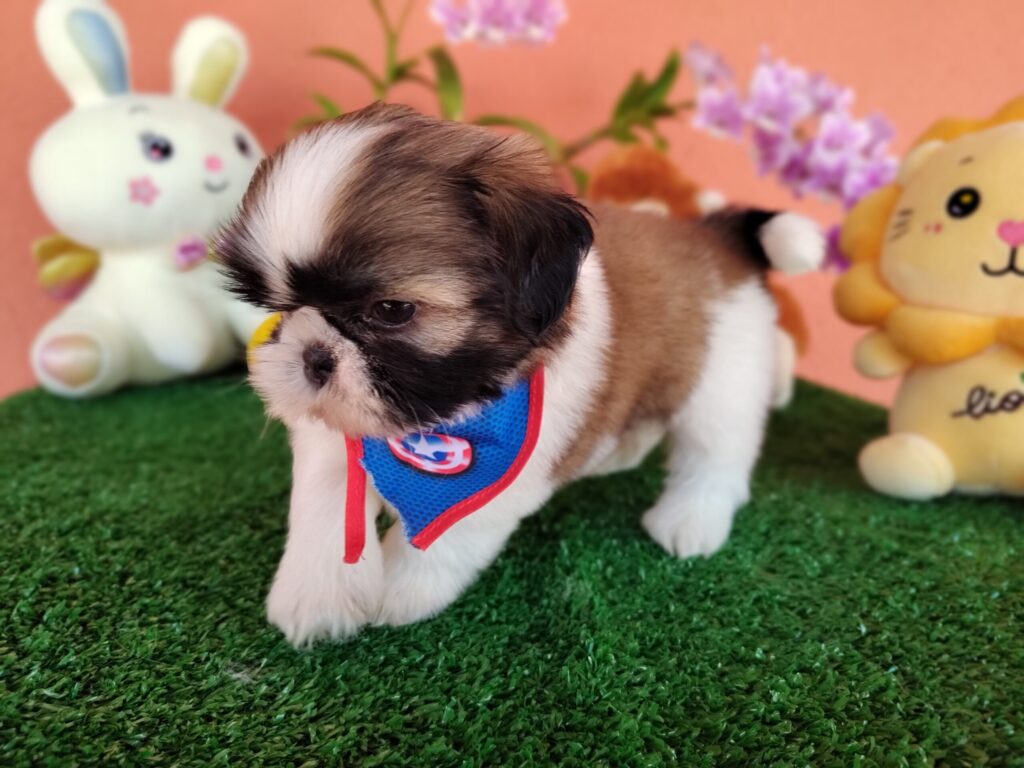 IMG_20230405_131356551_MF_PORTRAIT-scaled