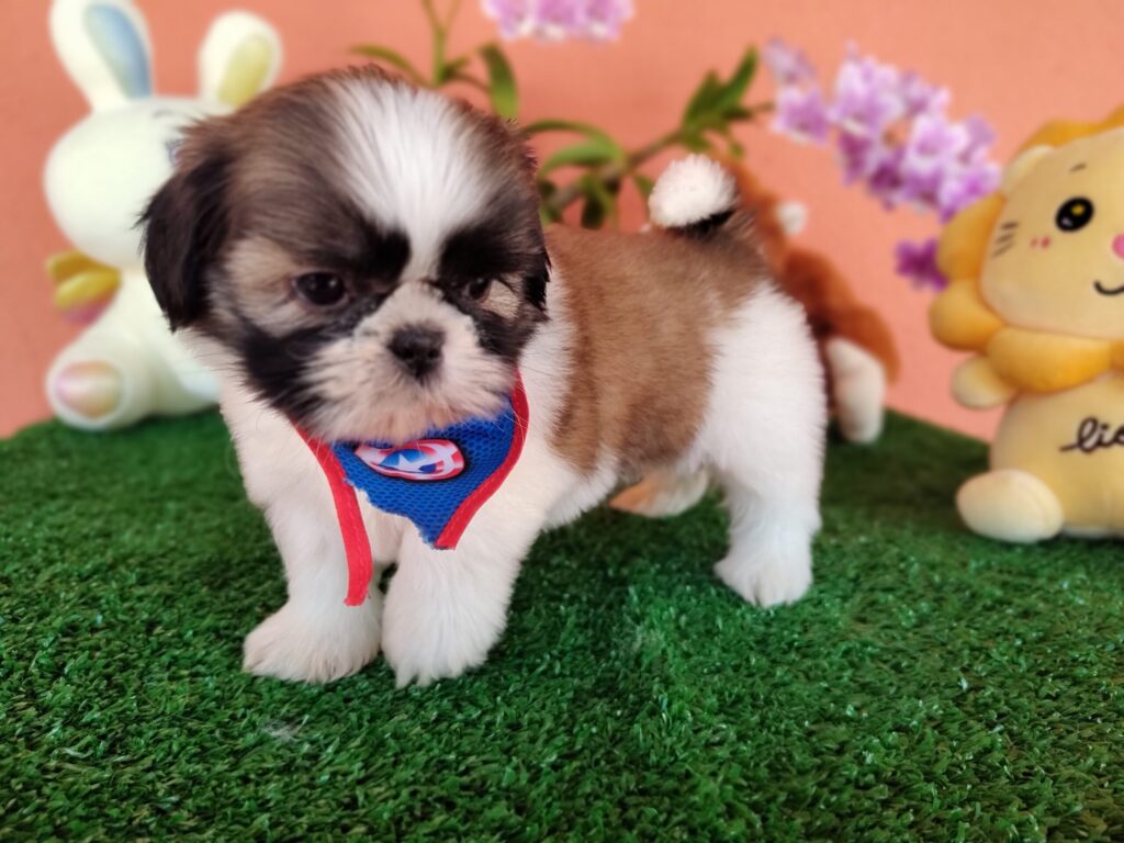 IMG_20230405_131358574_MF_PORTRAIT-scaled