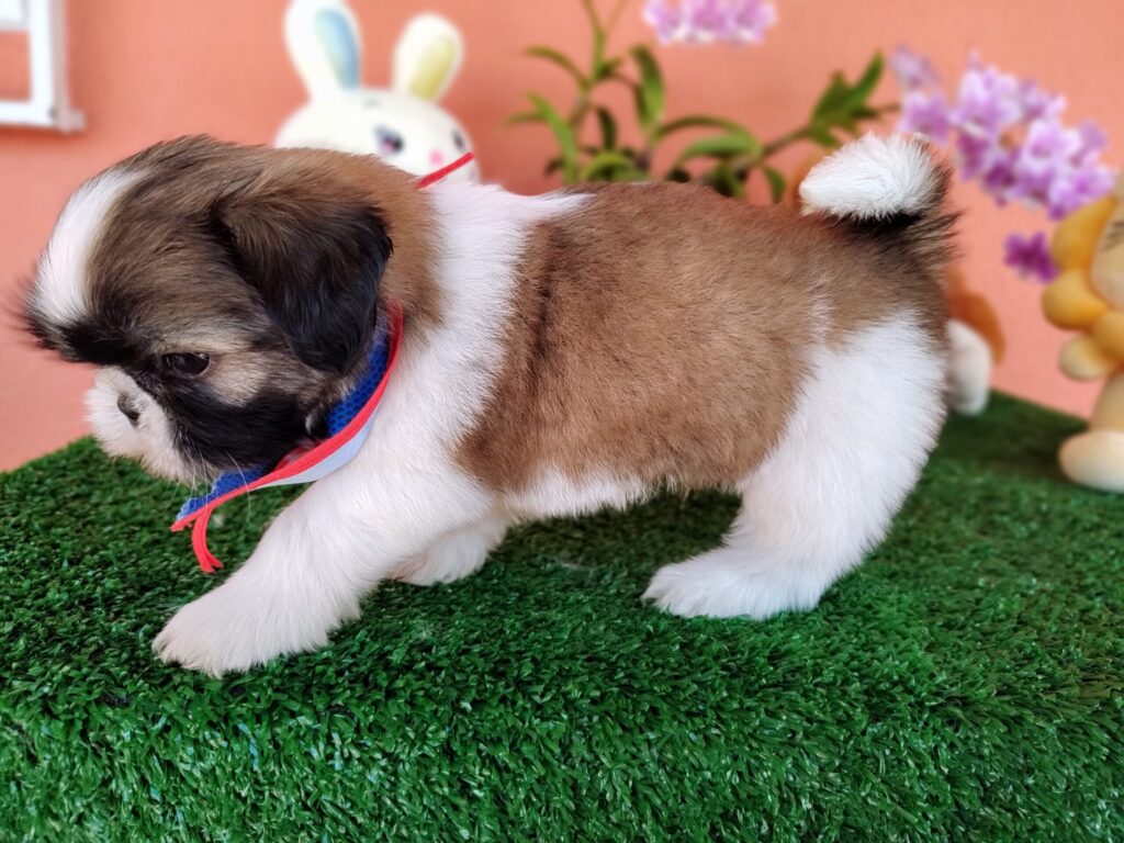 IMG_20230405_131412145_MF_PORTRAIT-scaled