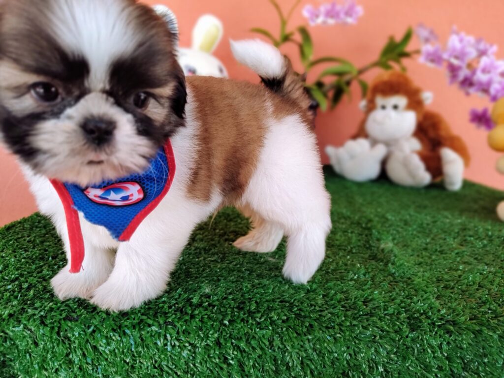 IMG_20230405_131413996_MF_PORTRAIT-scaled