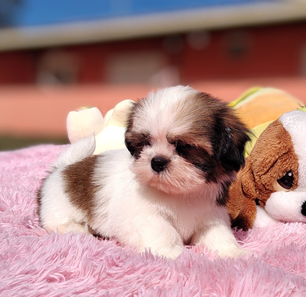 IMG_20230427_0945577632 (1)