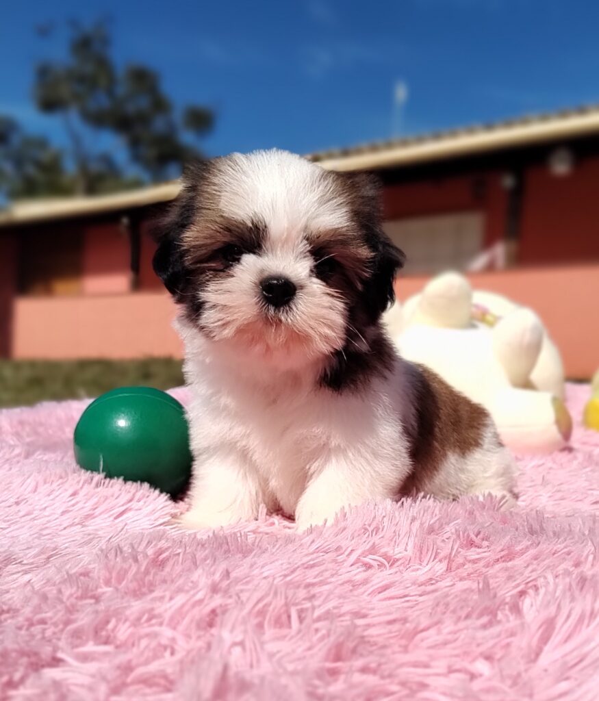 IMG_20230427_094608963_MF_PORTRAIT