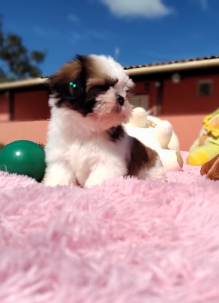 IMG_20230427_094619934_MF_PORTRAIT