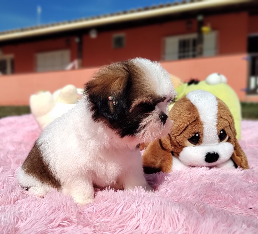 IMG_20230427_094655600_MF_PORTRAIT