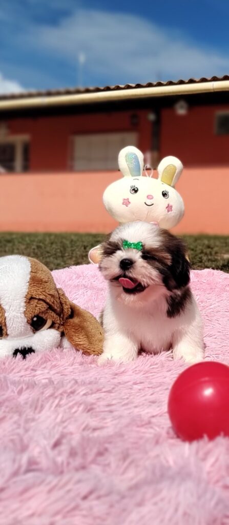 IMG_20230427_095009229_MF_PORTRAIT-scaled