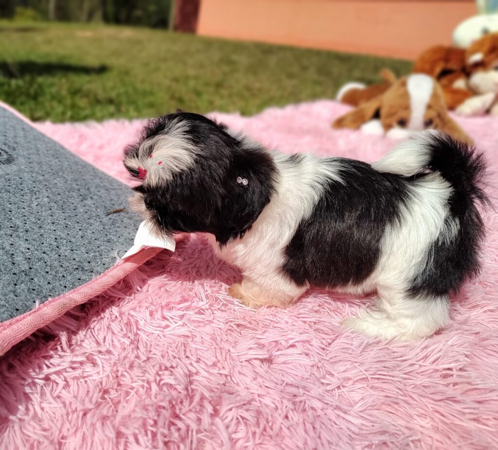 IMG_20230427_100202707_MF_PORTRAIT-scaled