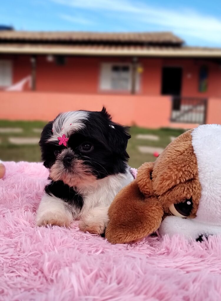 IMG_20230427_100951895_MF_PORTRAIT