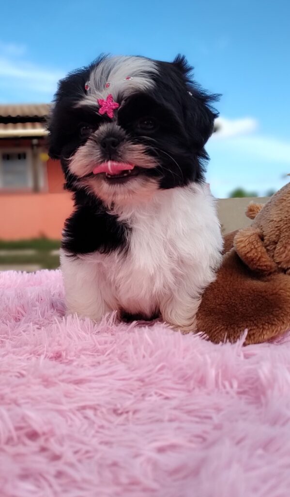 IMG_20230427_100958506_MF_PORTRAIT-scaled