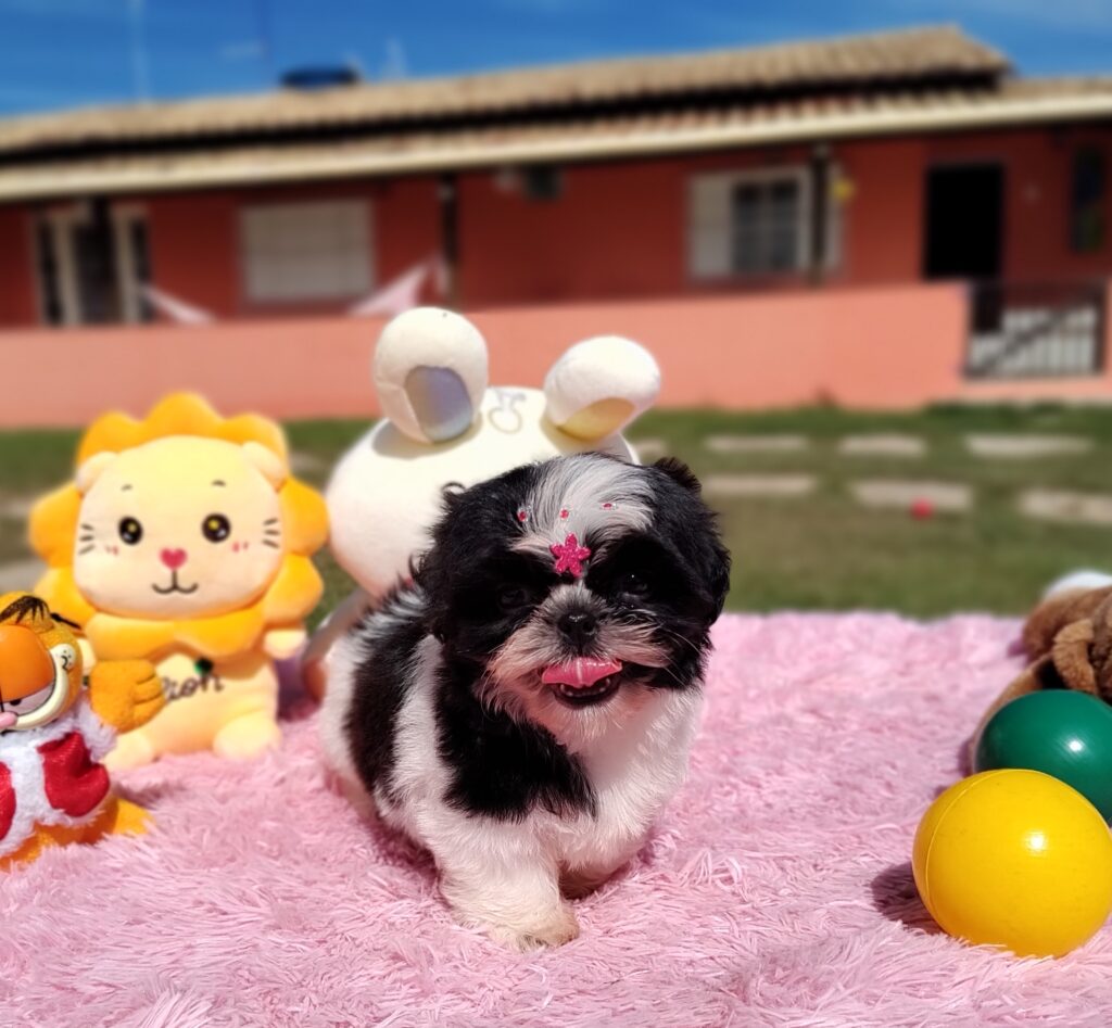 IMG_20230427_101113322_MF_PORTRAIT