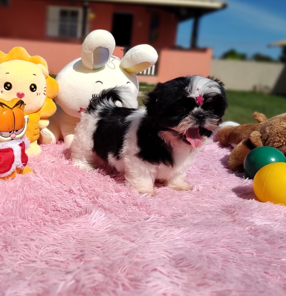 IMG_20230427_101115660_MF_PORTRAIT