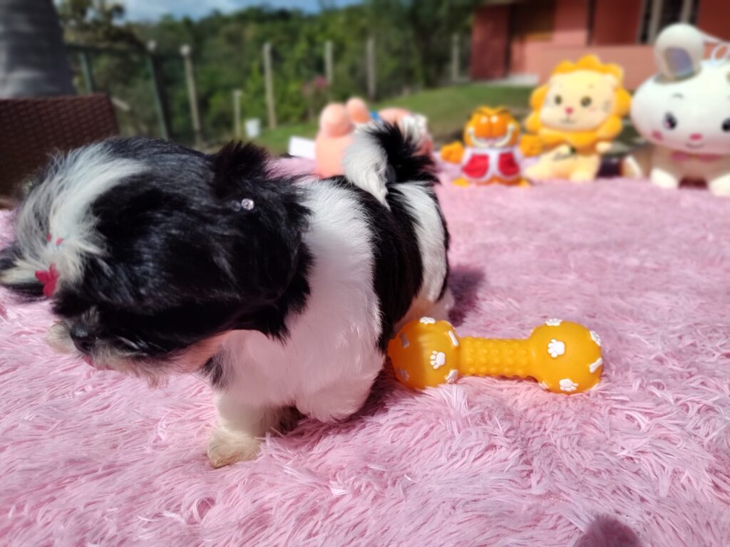 IMG_20230427_101146382_MF_PORTRAIT-scaled