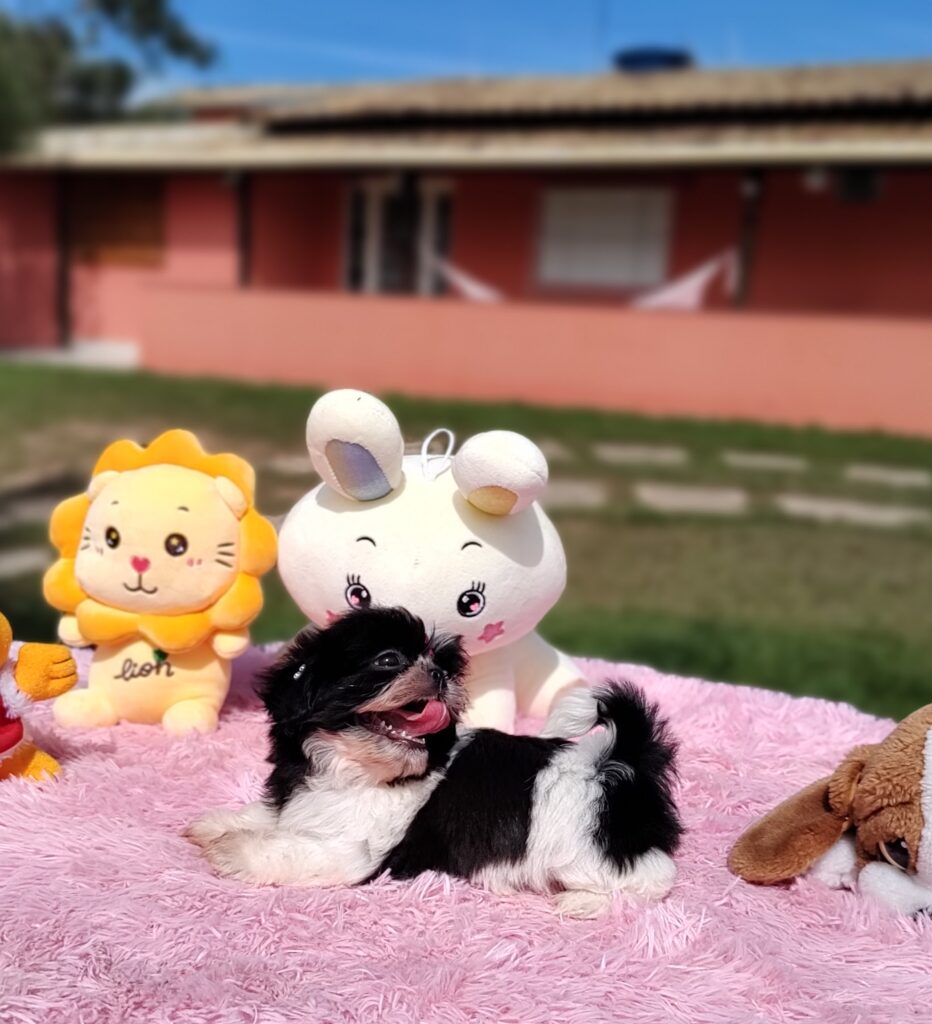 IMG_20230427_101159700_MF_PORTRAIT