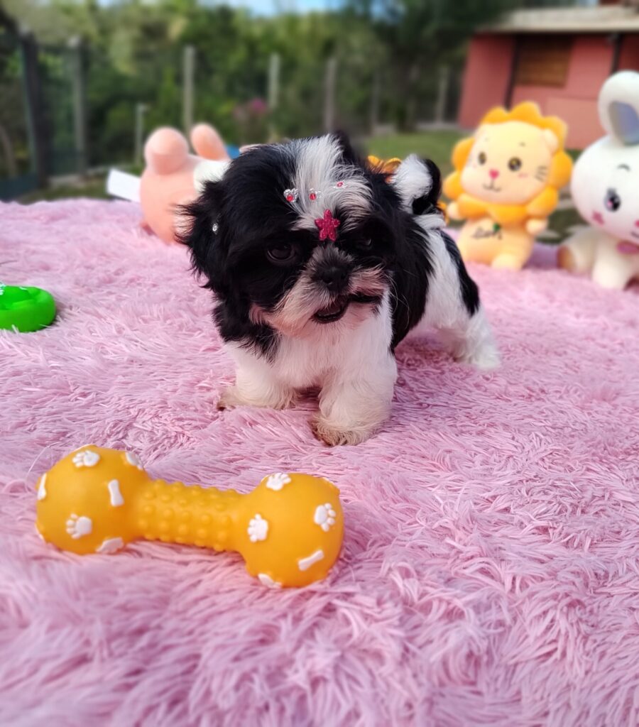 IMG_20230427_101209979_MF_PORTRAIT-scaled