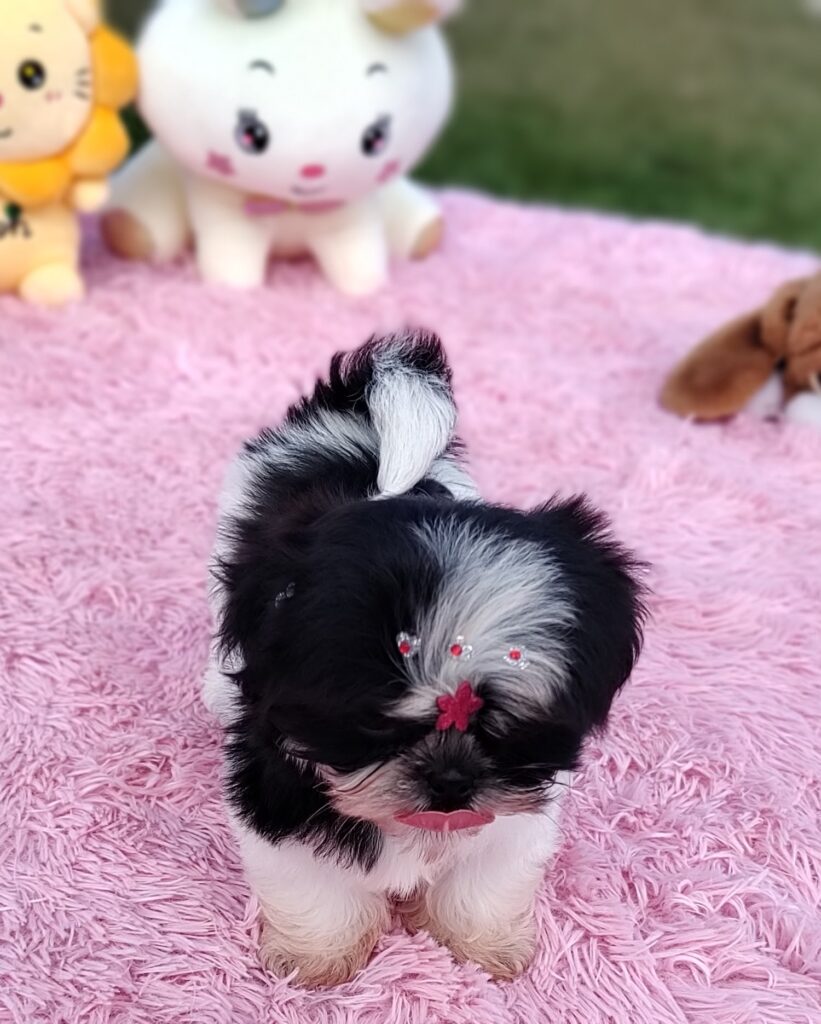 IMG_20230427_101230249_MF_PORTRAIT