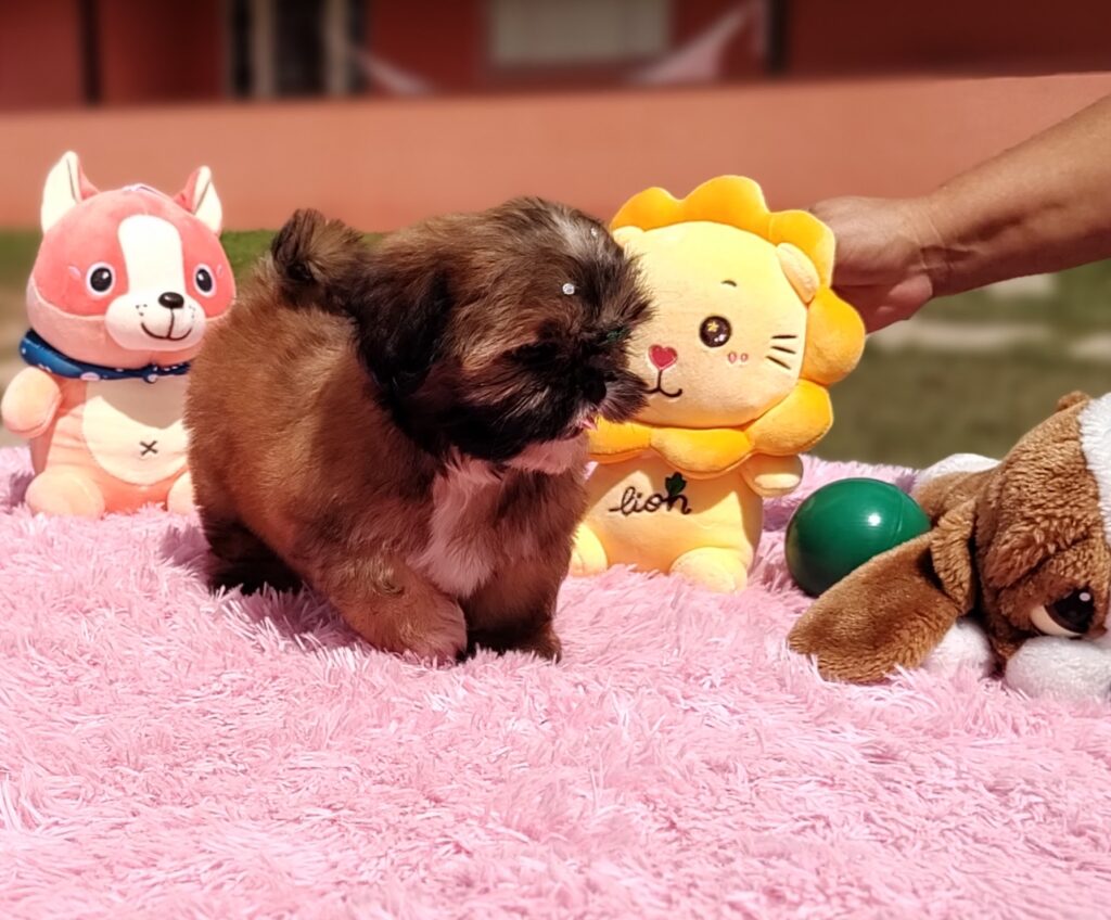 IMG_20230427_112714846_MF_PORTRAIT