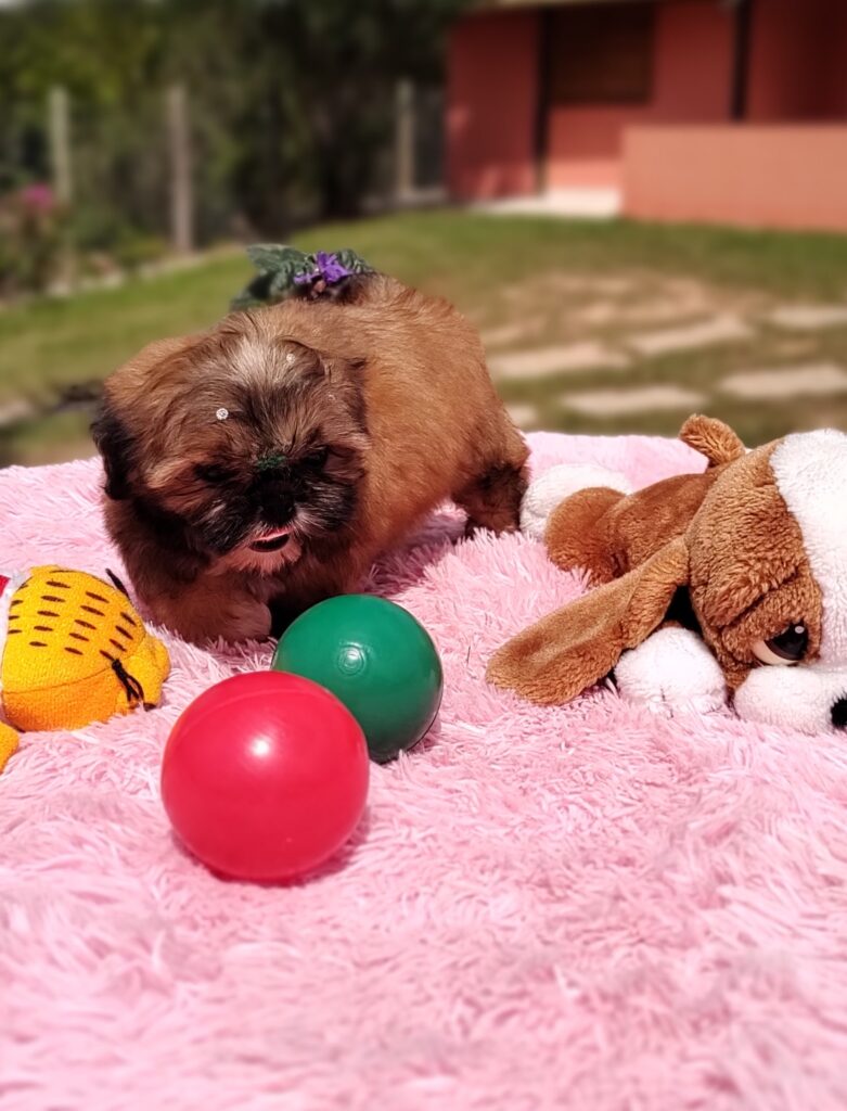 IMG_20230427_112721712_MF_PORTRAIT