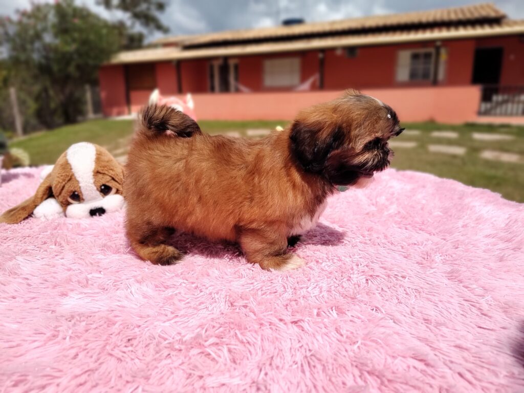 IMG_20230427_112723531_MF_PORTRAIT-scaled