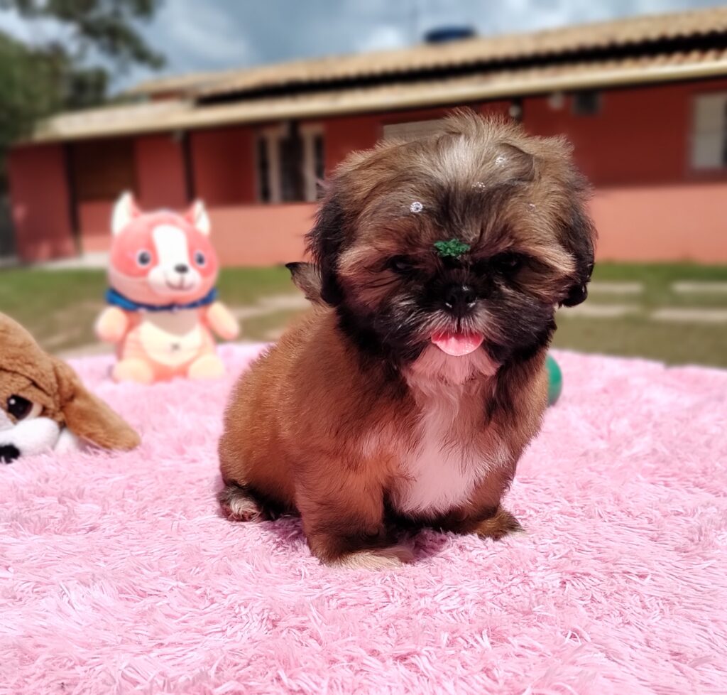 IMG_20230427_112724930_MF_PORTRAIT