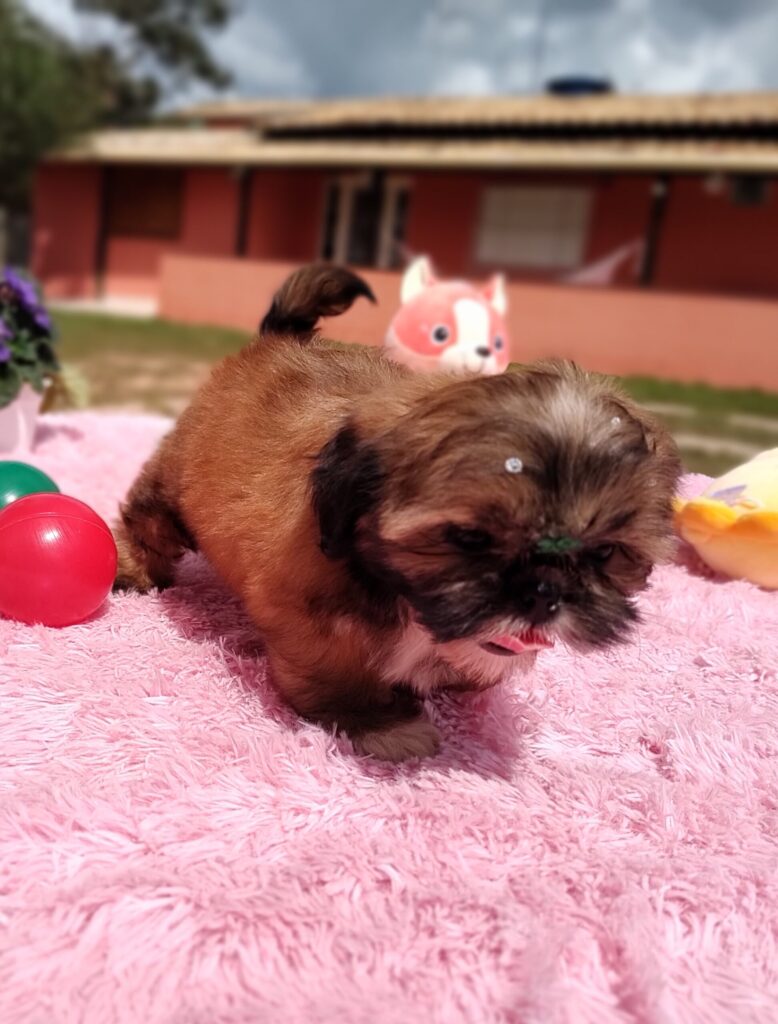 IMG_20230427_112735270_MF_PORTRAIT-scaled