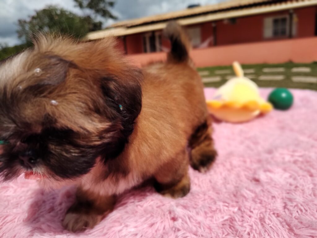 IMG_20230427_112821120_MF_PORTRAIT-scaled