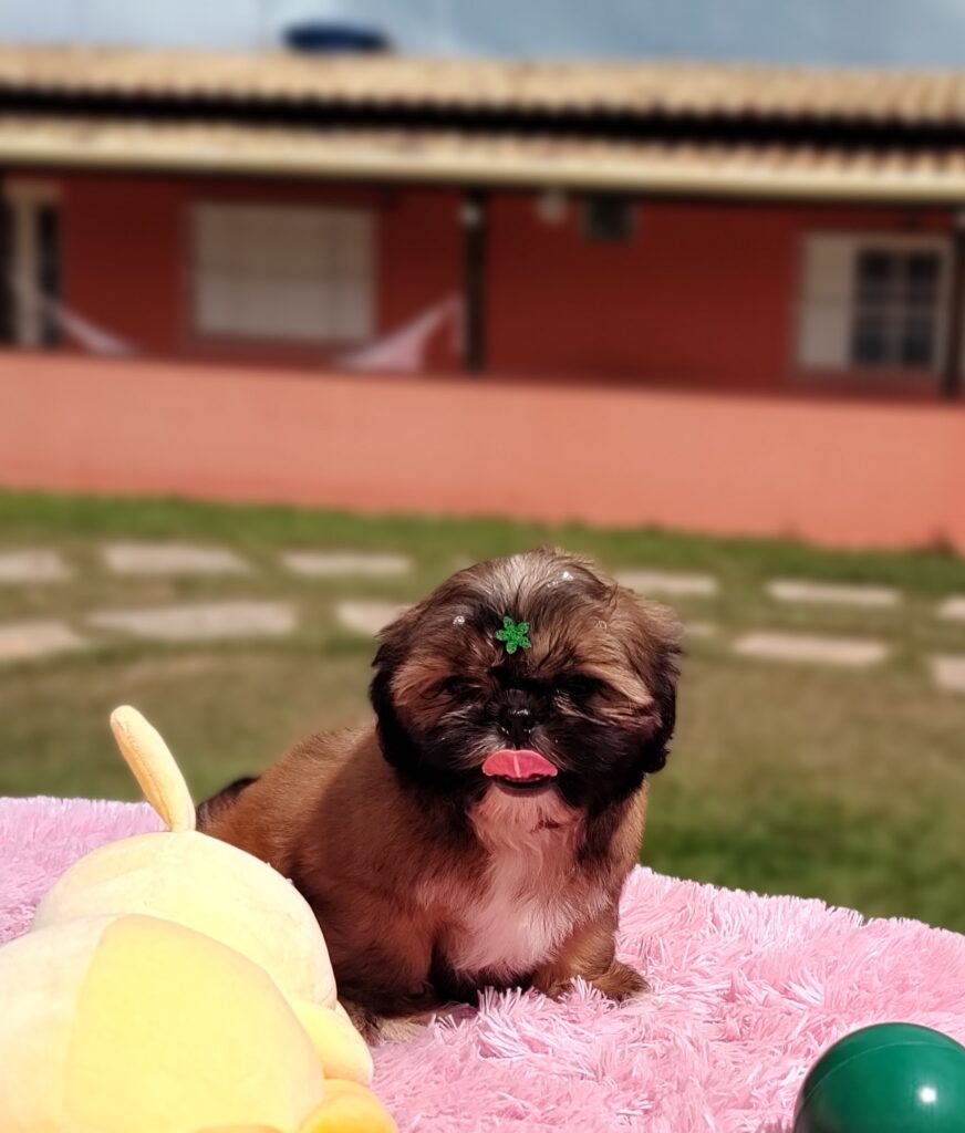 IMG_20230427_113044847_MF_PORTRAIT