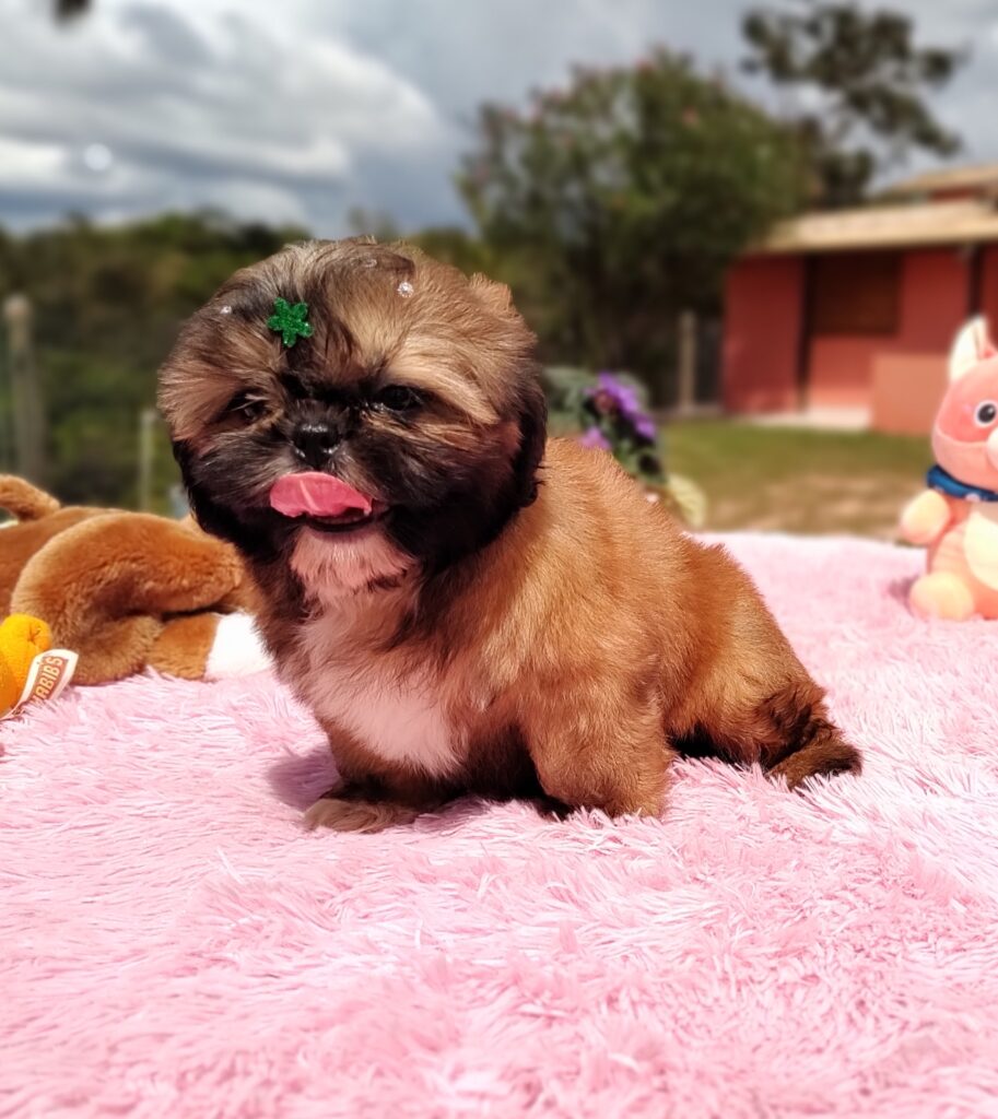 IMG_20230427_113108660_MF_PORTRAIT