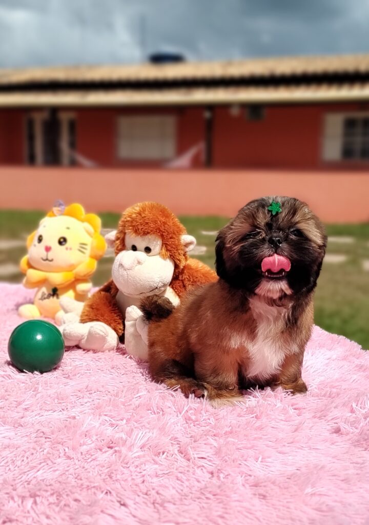 IMG_20230427_113123274_MF_PORTRAIT