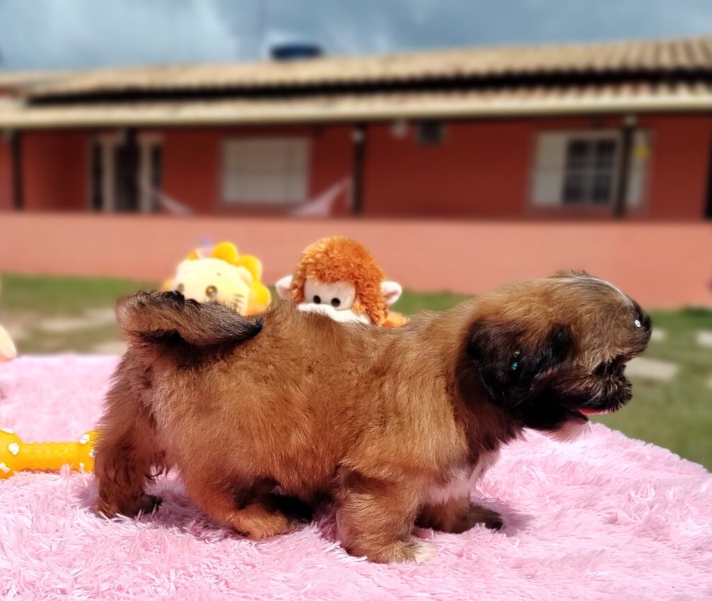 IMG_20230427_113138939_MF_PORTRAIT