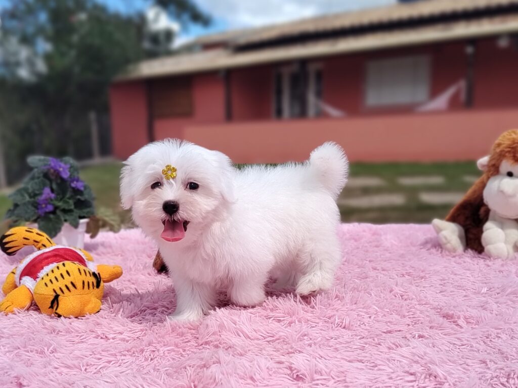 IMG_20230427_120152869_MF_PORTRAIT