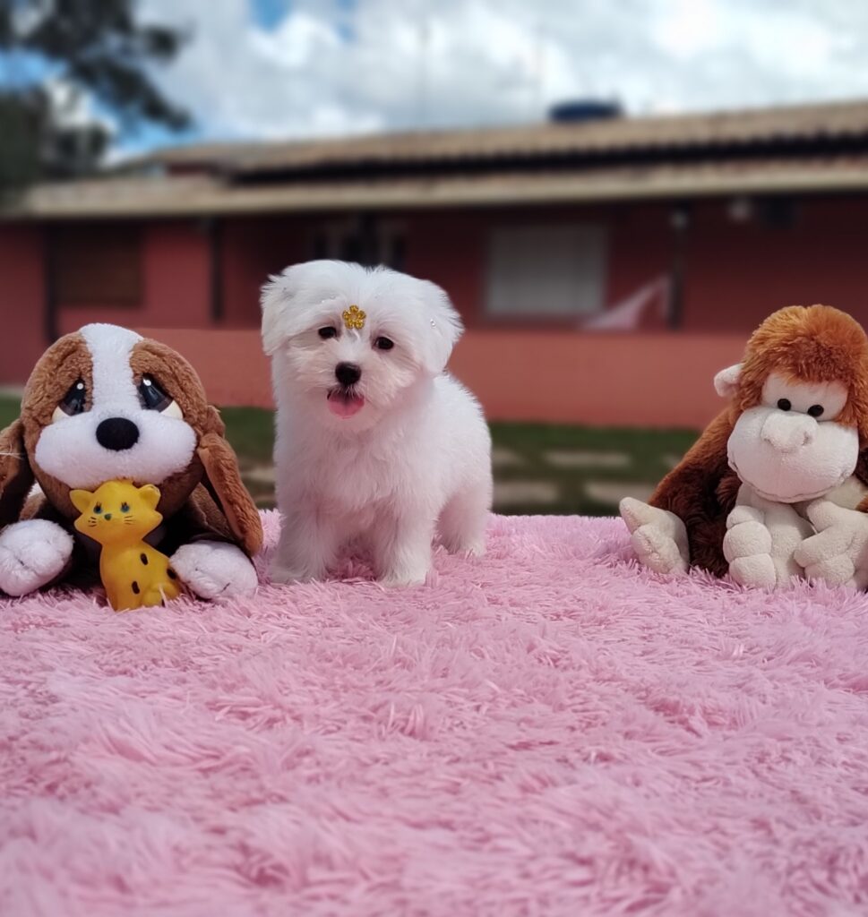 IMG_20230427_120204036_MF_PORTRAIT