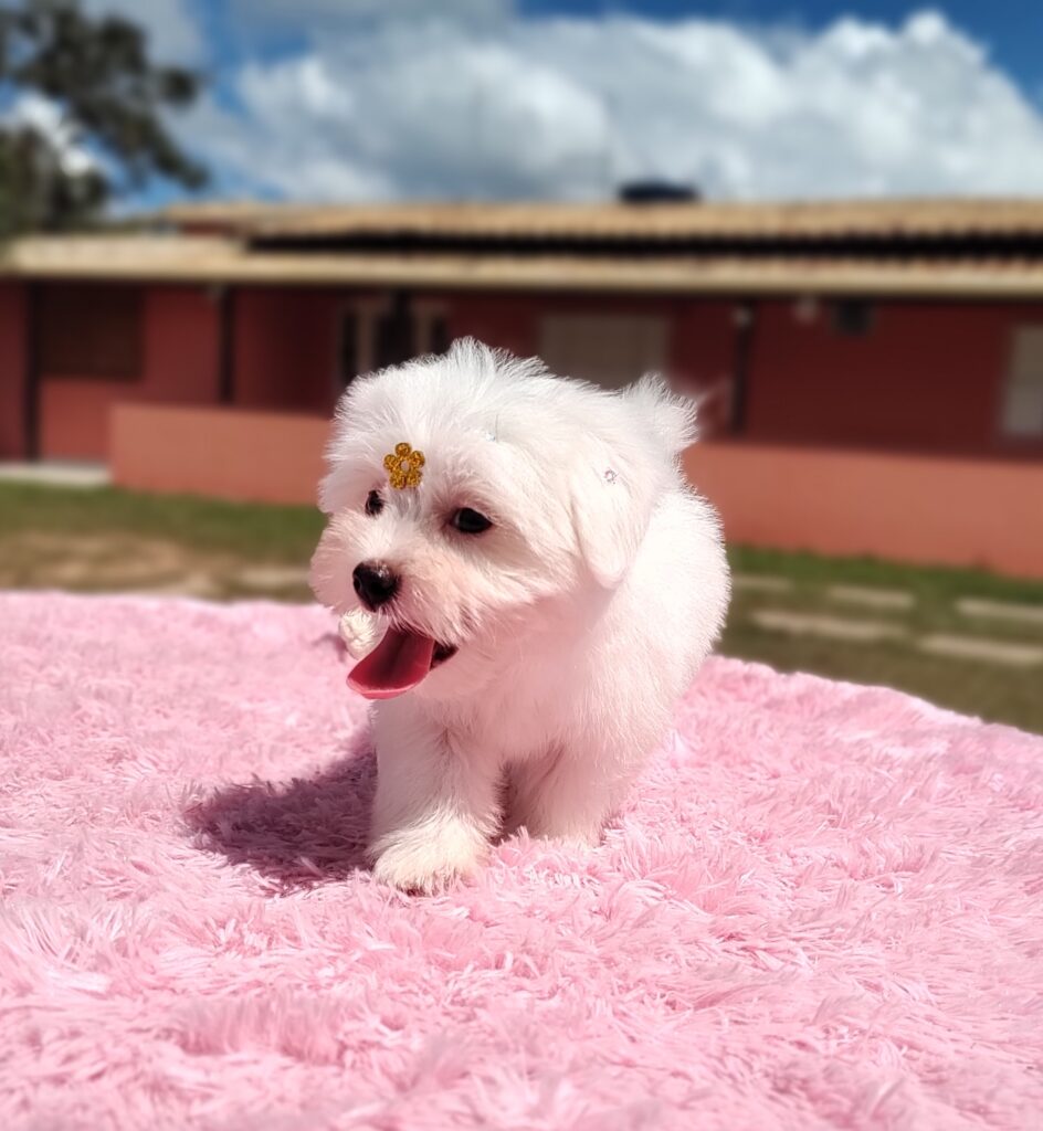 IMG_20230427_120240693_MF_PORTRAIT