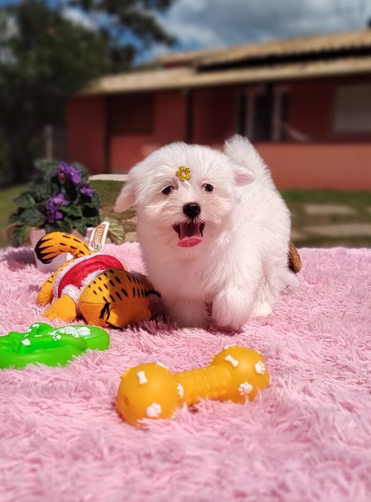 IMG_20230427_120324371_MF_PORTRAIT