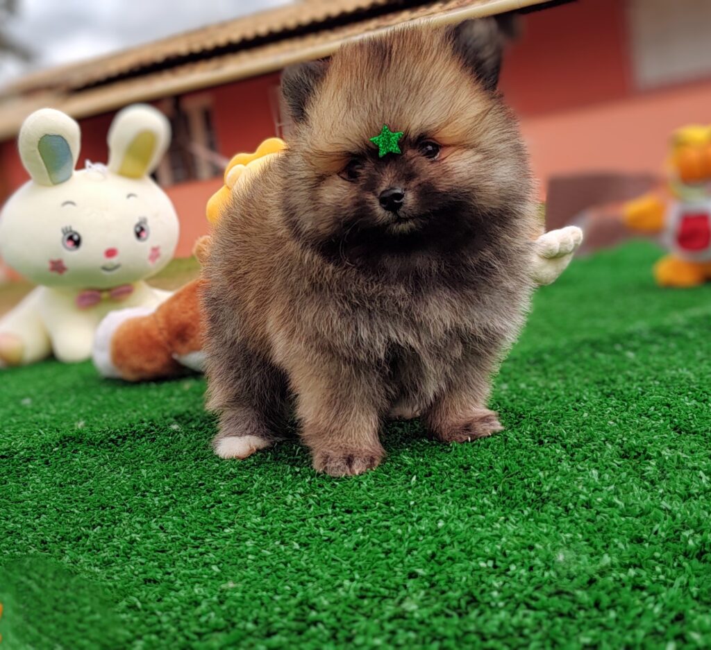 IMG_20230524_1217221002