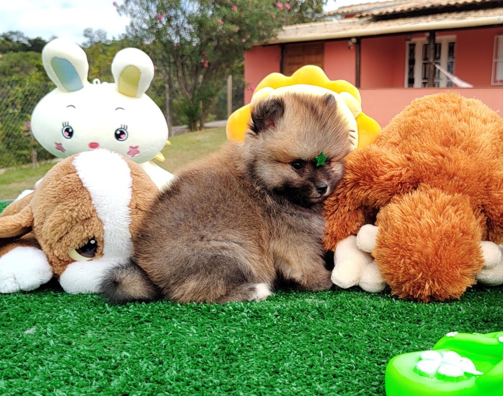 IMG_20230524_121828411