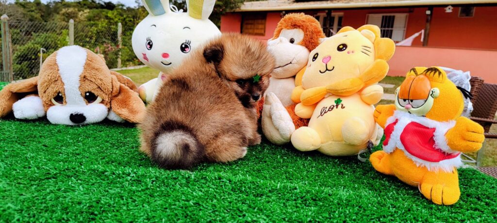 IMG_20230524_1219425512-scaled